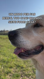 Borraccia con Ciotola Pieghevole per Cani — Idratazione Ovunque